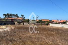 Land Marinha Grande Vieira da Leiria Land Marinha Grande Vieira da Leiria