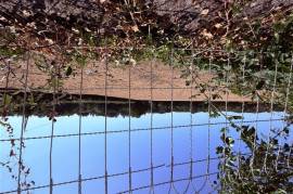 Spacious village house for sale Haute Vienne 87 Spacious village house for sale Haute Vienne 87