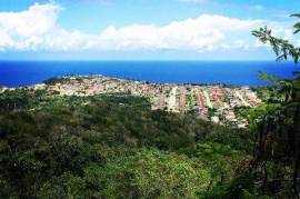 Premier 2-Acre Development Plot Rose Hall Estate Montego Bay
