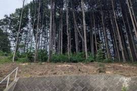 Excellent Plot of land for sale in Sakura Japan