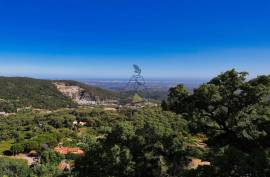 Restaurant and Pizzeria for sale in Monchique Restaurant and Pizzeria for sale in Monchique