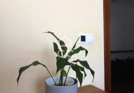 Commercial property Seixal