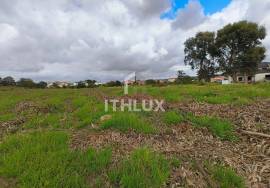 Land for construction of House 7 Km from Caldas da Rainha