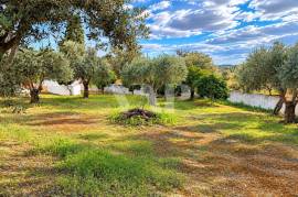 2 Bedroom Country House with Land in São Miguel do Pinheiro, Mértola 2 Bedroom Country House with Land in São Miguel do Pinheiro, Mértola