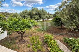 2 Bedroom Country House with Land in São Miguel do Pinheiro, Mértola 2 Bedroom Country House with Land in São Miguel do Pinheiro, Mértola