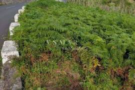 Land Plot with Approved T3 House Project – Campanário Land Plot with Approved T3 House Project – Campanário