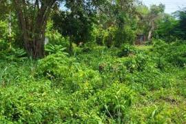 Excellent Plot of land for sale in Mount Moreland PO, St Catherine Jamaica