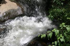 Excellent Plot of Cloud Forrest land for sale in Cerro Punta Panama Excellent Plot of Cloud Forrest land for sale in Cerro Punta Panama