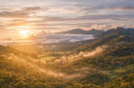 Excellent Plot of Cloud Forrest land for sale in Cerro Punta Panama Excellent Plot of Cloud Forrest land for sale in Cerro Punta Panama