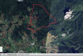Excellent Plot of Cloud Forrest land for sale in Cerro Punta Panama Excellent Plot of Cloud Forrest land for sale in Cerro Punta Panama