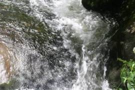 Excellent Plot of Cloud Forrest land for sale in Cerro Punta Panama Excellent Plot of Cloud Forrest land for sale in Cerro Punta Panama