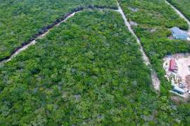 Excellent Plot of land for sale in Little Exuma in Bahama Island Beach Excellent Plot of land for sale in Little Exuma in Bahama Island Beach