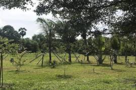 Luxury 5 Bed Resort For Sale Near Natai Beach Khok Kloi Thailand Luxury 5 Bed Resort For Sale Near Natai Beach Khok Kloi Thailand
