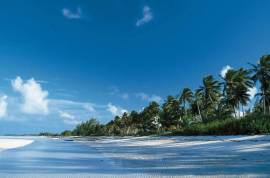 Excellent Plot of land for sale in Andros Island Nassau Bahamas