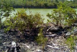 Excellent Plot of land for sale in Andros Island Nassau Bahamas Excellent Plot of land for sale in Andros Island Nassau Bahamas