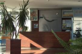 Thermal & Nature Bath Spa For Sale In Gelse Hungary Thermal & Nature Bath Spa For Sale In Gelse Hungary