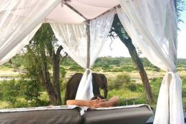 N'Wambu Safari Lodge in Mjejane Game Reserve For Sale in Hectorspruit South Africa