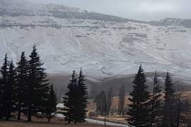 Mountain Shadows Hotel For Sale In Elliot South Africa