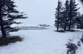 Mountain Shadows Hotel For Sale In Elliot South Africa