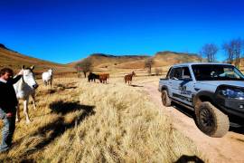 Mountain Shadows Hotel For Sale In Elliot South Africa