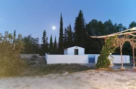 Superb 5 Bed Finca For Sale In Sax Alicante Spain