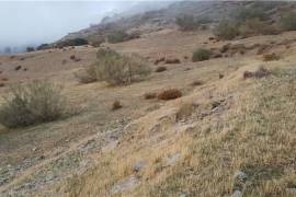 Excellent Plot of land with ruin for sale in SOPORTUJAR Granada Spain Excellent Plot of land with ruin for sale in SOPORTUJAR Granada Spain