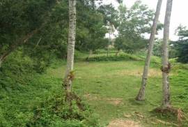 Excellent Plots of land for sale in Lombok Indonesia