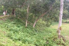 Excellent Plots of land for sale in Lombok Indonesia