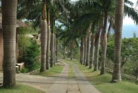Excellent Plots of land for sale in Lombok Indonesia