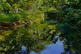 Excellent Plot of land for sale in Port Vila Vanuatu