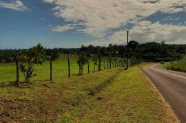 Excellent Plot of land for sale in Port Vila Vanuatu