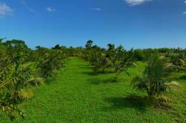 Excellent Plot of land for sale in Port Vila Vanuatu
