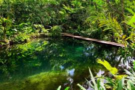 Excellent Plot of land for sale in Port Vila Vanuatu