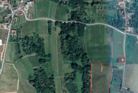 Excellent Plot of land & Vineyard for sale in Mitrovac Croatia