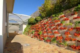Luxury 3 Bed Villa For Sale In Gordons Bay Cape Town South Africa