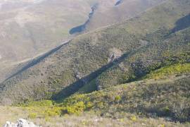 Excellent Plot of land for sale in Uniondale Western Cape South Africa Excellent Plot of land for sale in Uniondale Western Cape South Africa