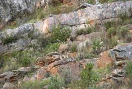 Excellent Plot of land for sale in Uniondale Western Cape South Africa Excellent Plot of land for sale in Uniondale Western Cape South Africa