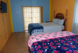 BLS WELLNESS GUESTHOUSE For Sale in Kingston Jamaica