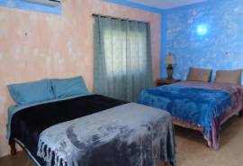 BLS WELLNESS GUESTHOUSE For Sale in Kingston Jamaica