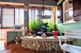 Luxury 5 Bed Villa For Sale in Grenada West Indies Luxury 5 Bed Villa For Sale in Grenada West Indies