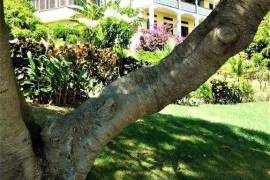 Luxury 5 Bed Villa For Sale in Grenada West Indies Luxury 5 Bed Villa For Sale in Grenada West Indies
