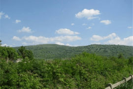 Luxury 4 Bed House For sale in Gyongyos Hungary Luxury 4 Bed House For sale in Gyongyos Hungary