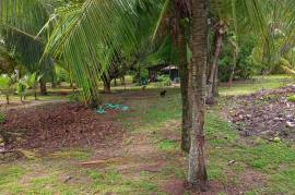 Excellent Beachfront land for sale in Quepos Costa Rica Excellent Beachfront land for sale in Quepos Costa Rica