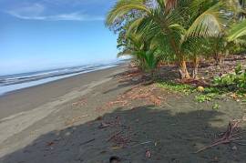 Excellent Beachfront land for sale in Quepos Costa Rica Excellent Beachfront land for sale in Quepos Costa Rica