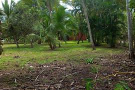 Excellent Beachfront land for sale in Quepos Costa Rica Excellent Beachfront land for sale in Quepos Costa Rica