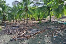 Excellent Beachfront land for sale in Quepos Costa Rica Excellent Beachfront land for sale in Quepos Costa Rica