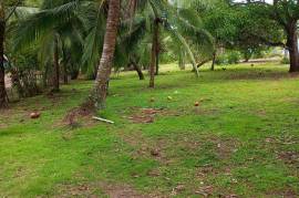 Excellent Beachfront land for sale in Quepos Costa Rica Excellent Beachfront land for sale in Quepos Costa Rica