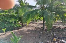 Excellent Beachfront land for sale in Quepos Costa Rica Excellent Beachfront land for sale in Quepos Costa Rica