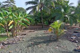 Excellent Beachfront land for sale in Quepos Costa Rica Excellent Beachfront land for sale in Quepos Costa Rica