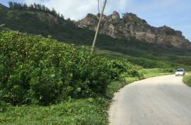 Excellent Plot of land for sale in St Andrew Barbados Excellent Plot of land for sale in St Andrew Barbados